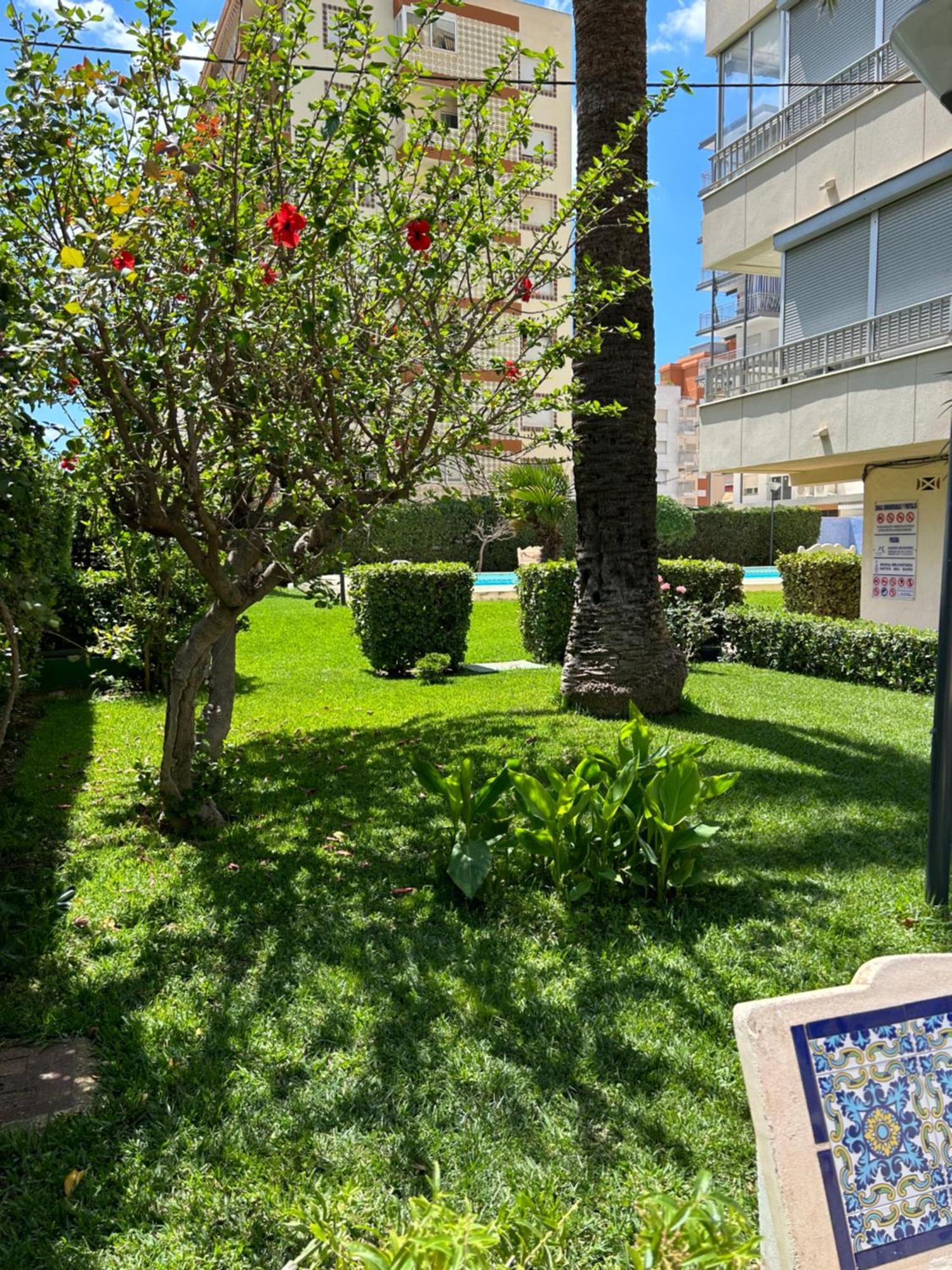Apartamento Gandia Playa 150M Playa Con Parking Privado Y Piscina Playa de Gandia Kültér fotó